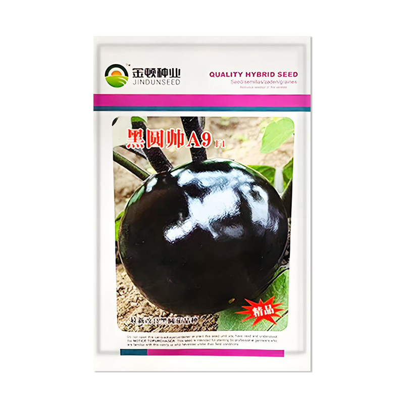 金顿种业黑圆帅A9茄子种子