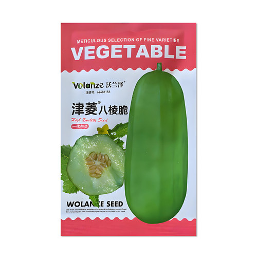 沃兰泽津菱八棱脆瓜种子