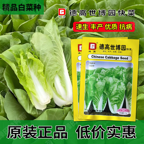德高世博园快菜大白菜小白菜苗菜种子耐热速生丰产抗病德高菜种子