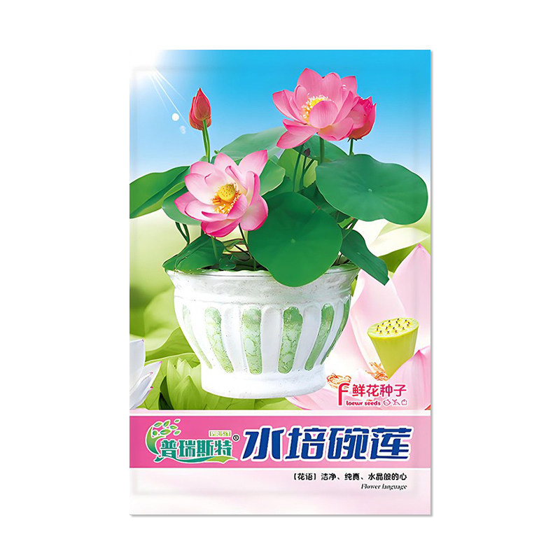 普瑞斯特水培碗莲种子