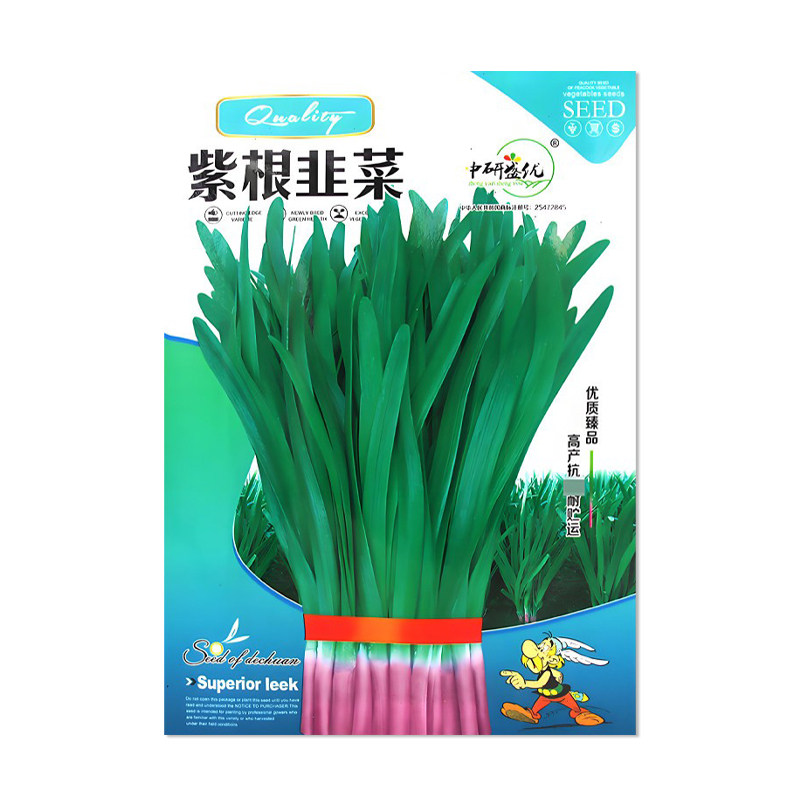 中研盛优紫根韭菜种子蔬菜种子