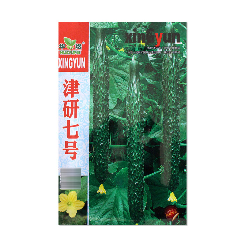 华煜津研七号黄瓜种子