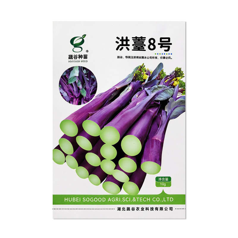 蔬谷种苗洪苔8号红菜苔种子