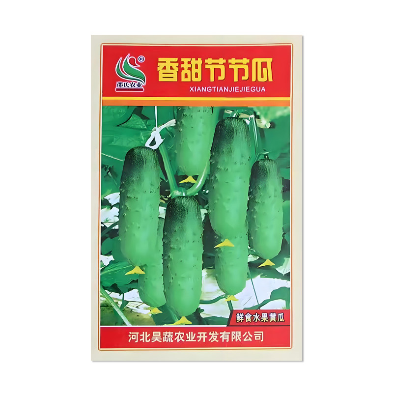 邵氏香甜节节瓜黄瓜种子