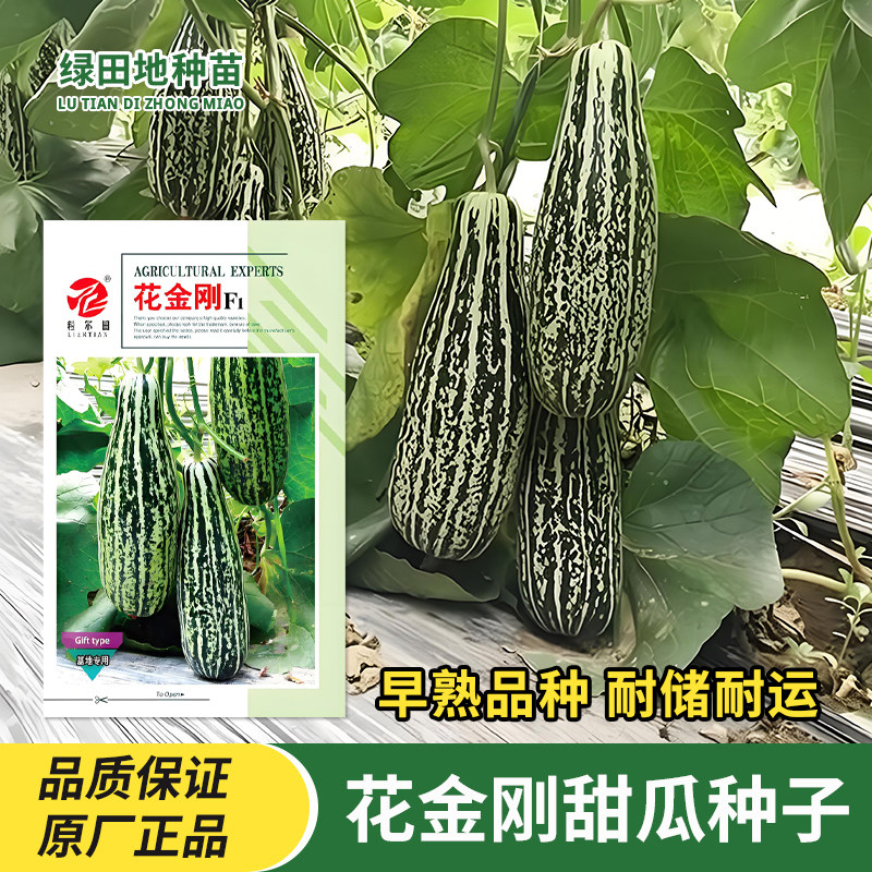 花金刚甜瓜种子花皮牛角蜜
