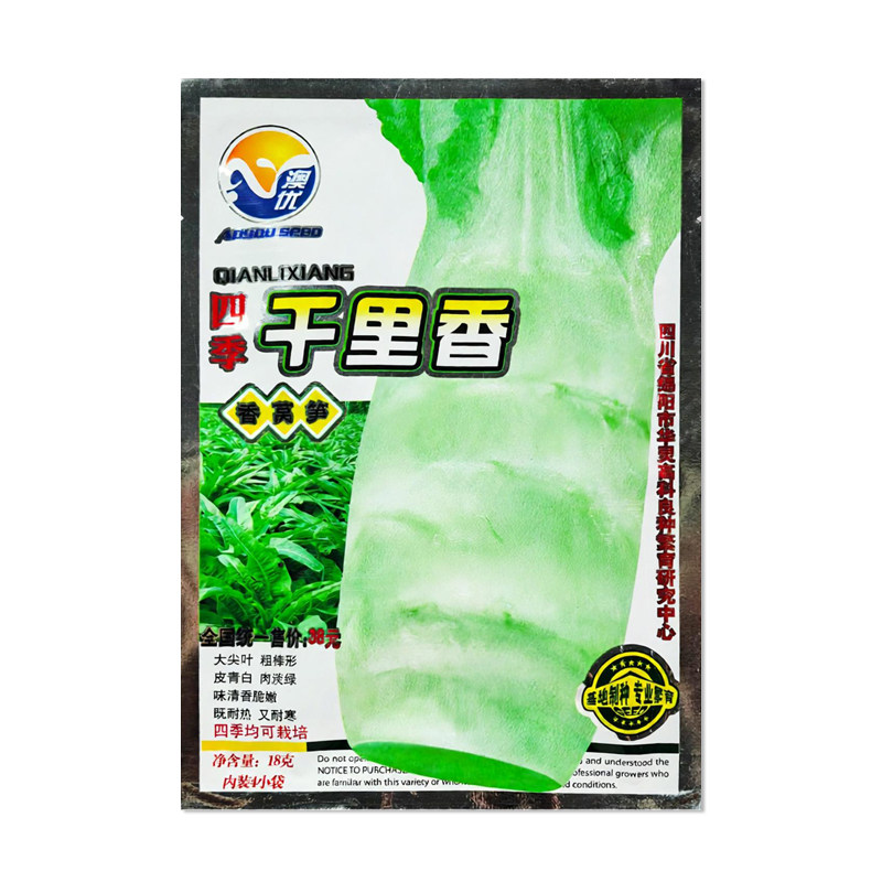澳优千里香四季香莴笋种子