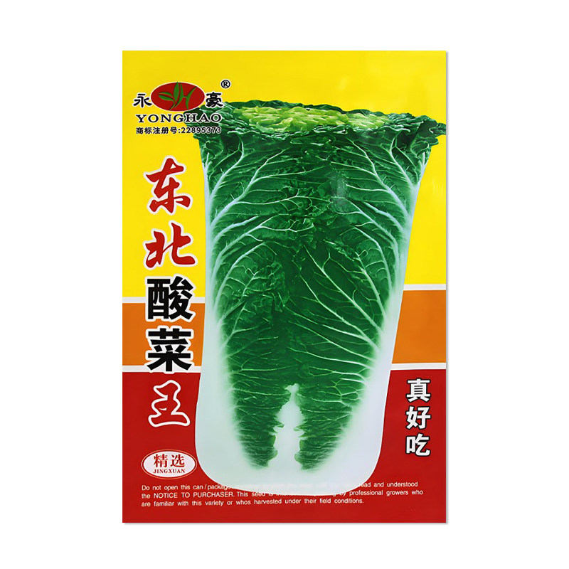 永豪东北酸菜王白菜种子蔬菜种子