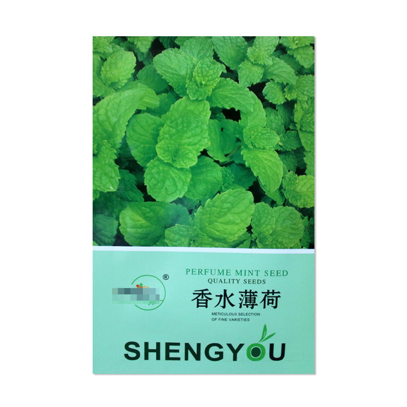 中研盛优香水薄荷种子