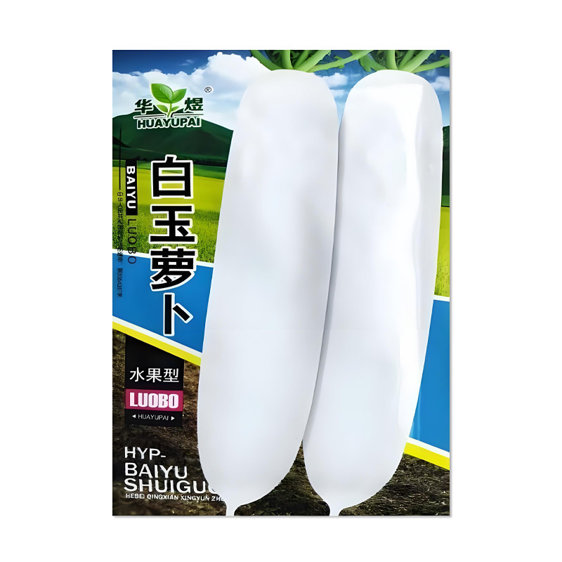华煜白玉萝卜种子蔬菜种子