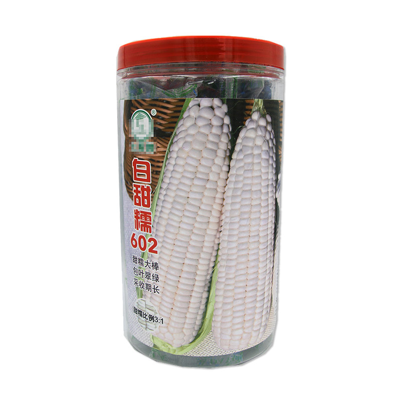 大禹白甜糯602玉米种子