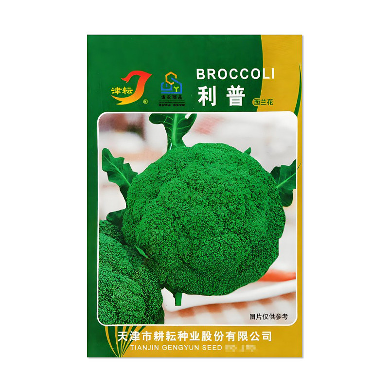 津耘利普西兰花种子蔬菜籽