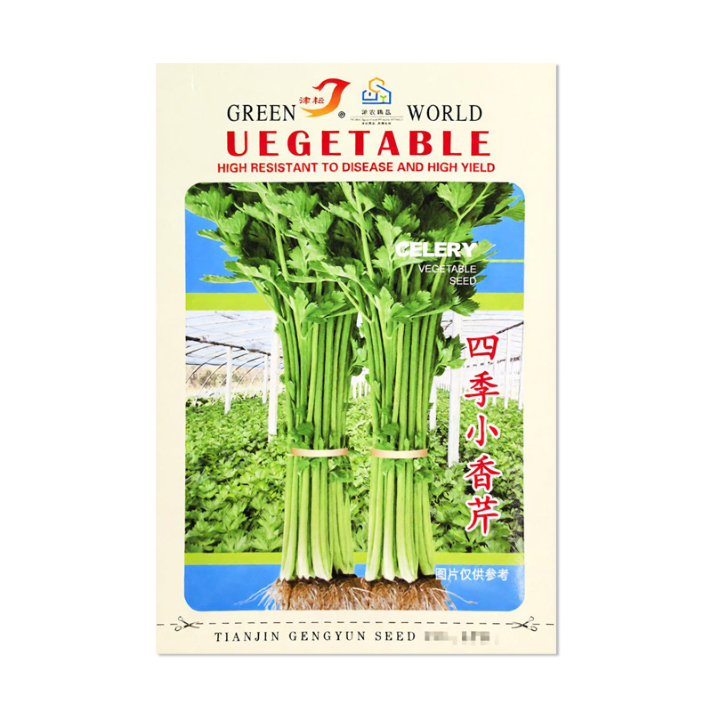 津耘四季小香芹菜种子