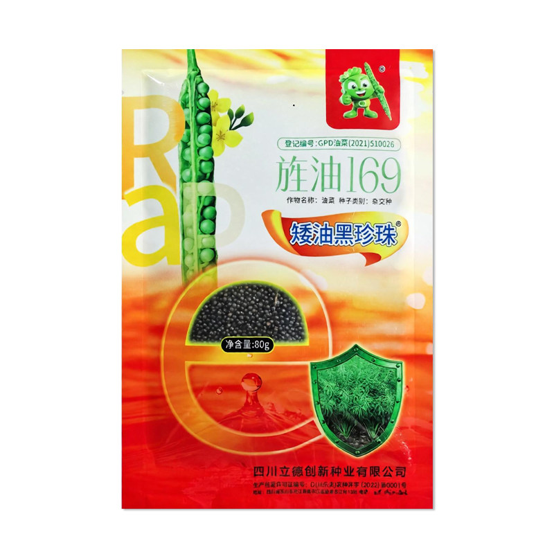 旌油169油菜种子矮油黑珍珠