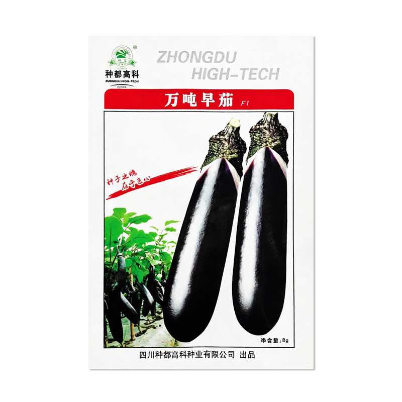种都高科万吨早茄子种子