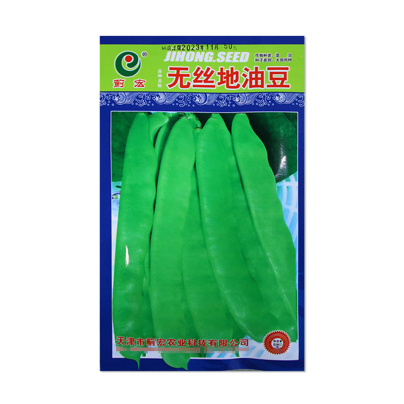 蓟宏无丝地油豆种子蔬菜种子