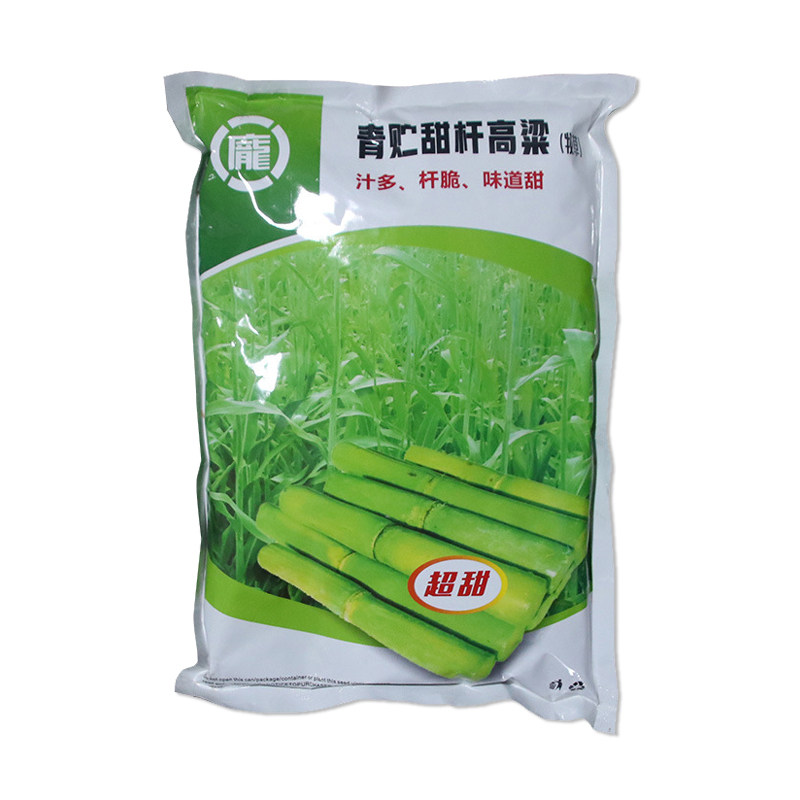庞大青贮甜杆高粱种子