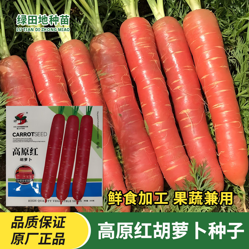 神禾高原红胡萝卜种子