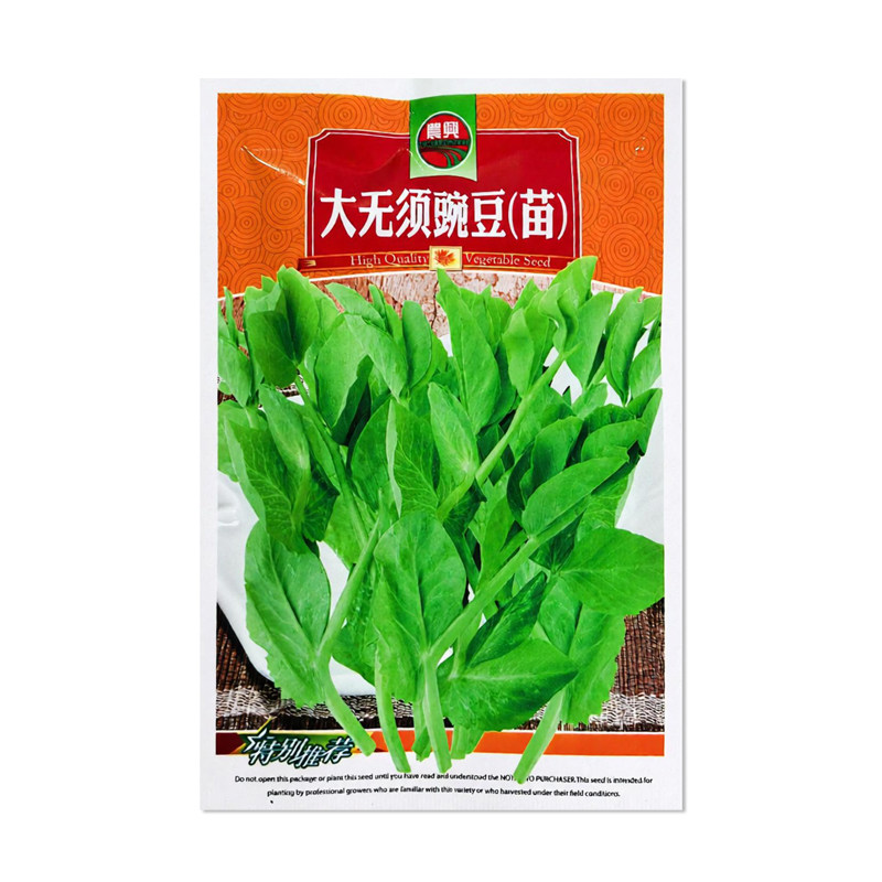 农兴大无须豌豆苗种子