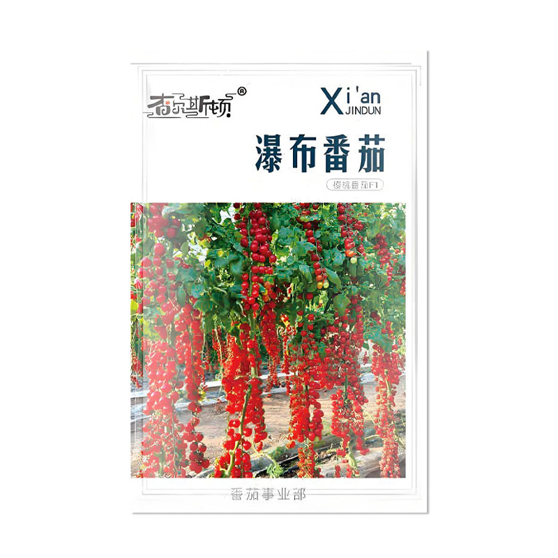 查尔斯顿瀑布番茄种子