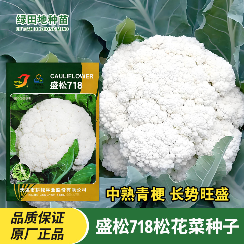 津耘盛松718青梗松花菜种子