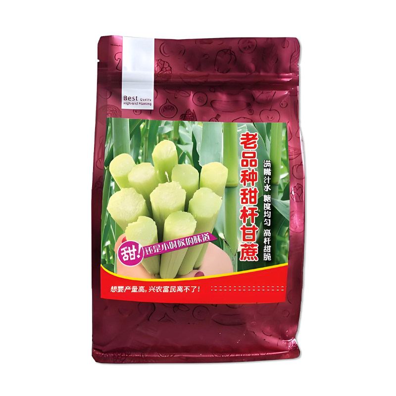 汉青老品种甜杆甘蔗种子