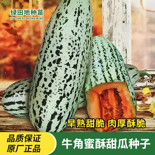 花皮牛角蜜甜瓜种子羊角蜜