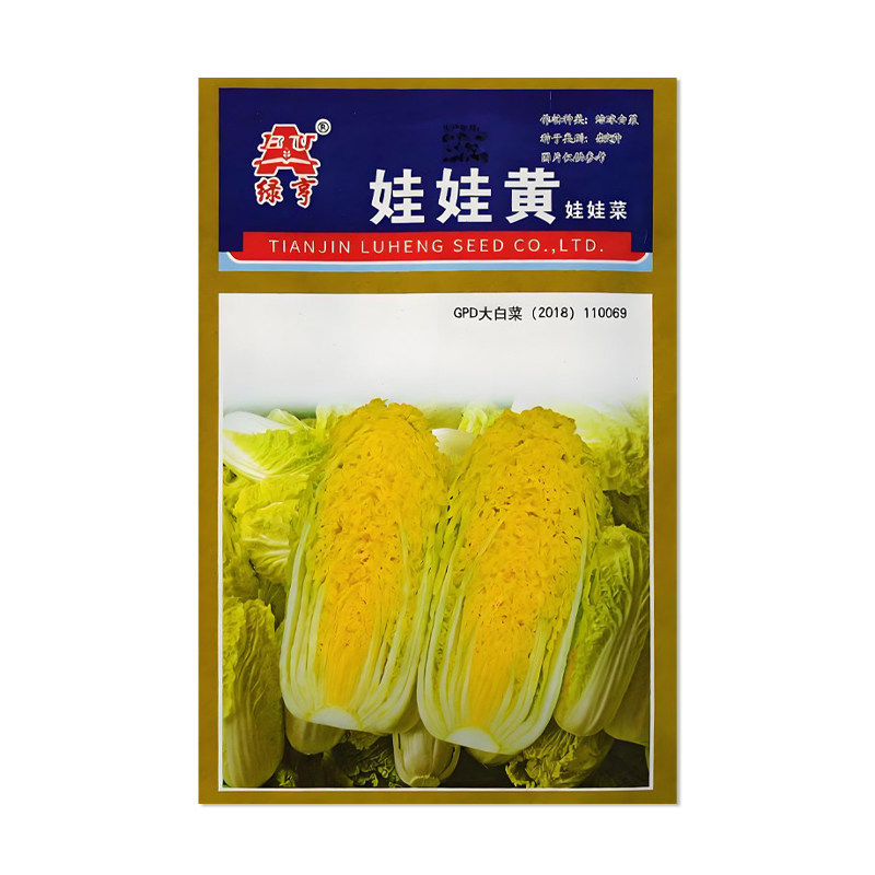 绿亨娃娃黄娃娃菜种子图片