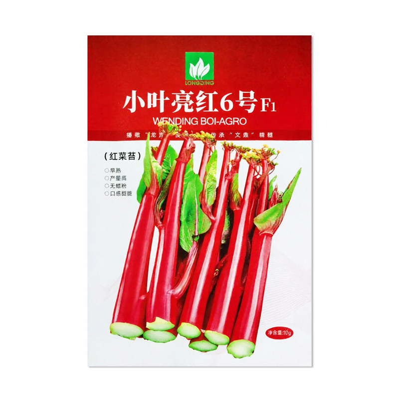 文鼎小叶亮红6号红菜苔种子