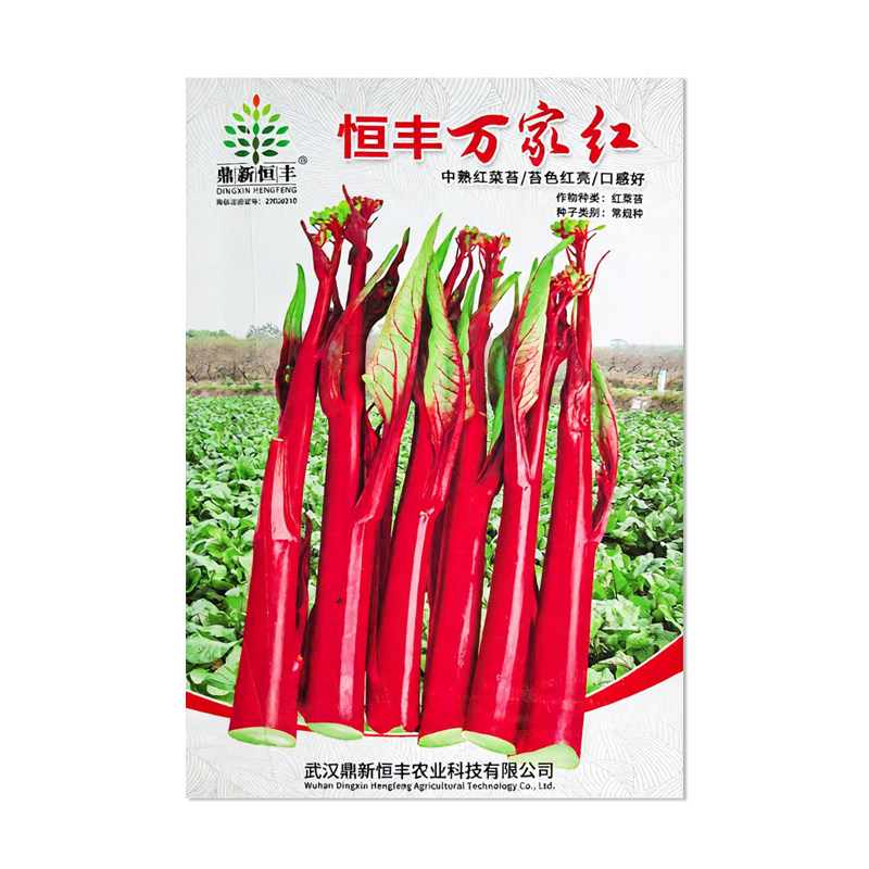 鼎新恒丰万家红中熟红菜苔种子