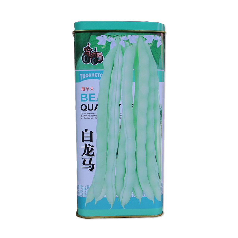拖车头白龙马架豆种子