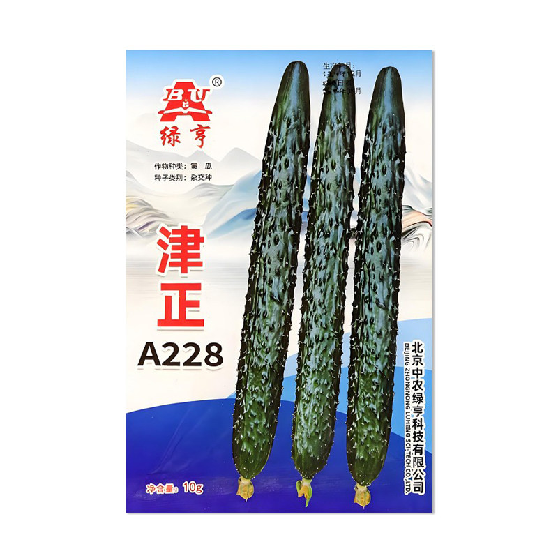 绿亨津正A228黄瓜种子图片