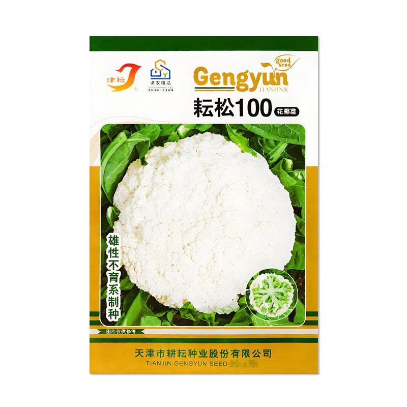 津耘耘松100花椰菜种子
