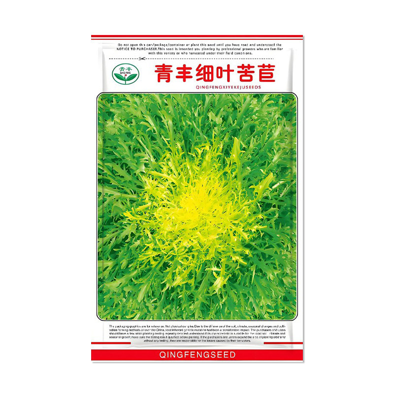 青丰细叶苦苣菜种子黄心苦菊