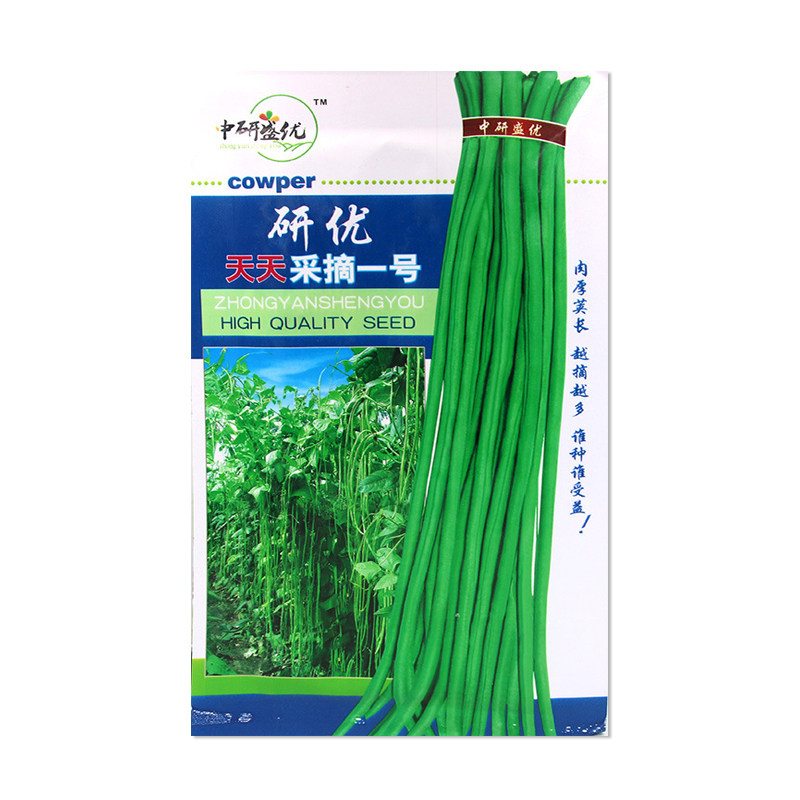 中研盛优天天采摘一号豇豆种子
