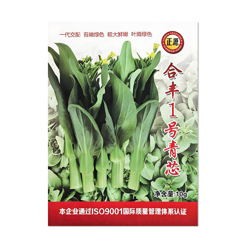 正源合丰1号青芯菜苔种子