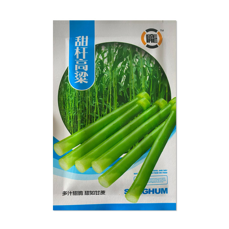 庞大甜杆高粱种子北方甘蔗种籽
