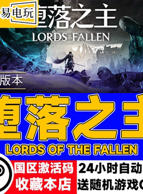steam正版 Lords of the Fallen 堕落之主 国区激活码 cdkey