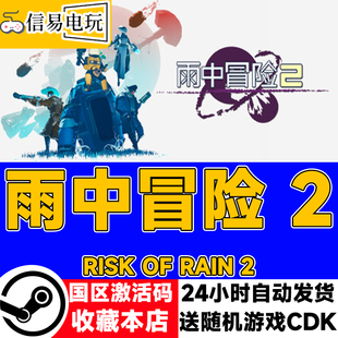 Rain steam正版 现货秒发 Risk 国区激活码 cdkey 雨中冒险2