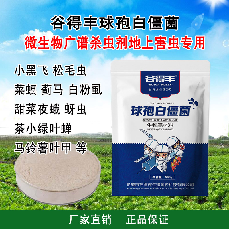谷得丰球孢白僵菌 农用微生物菌剂小黑飞玉米螟蓟马蚜虫红蜘蛛