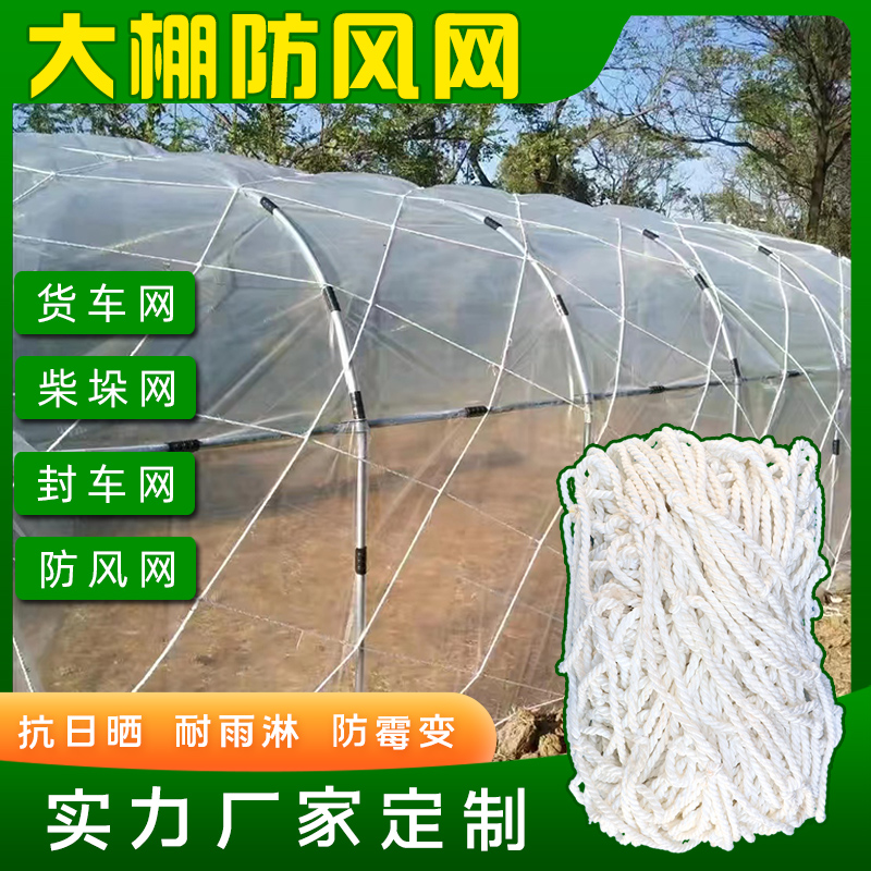 货物种植养殖大棚防风网防护网尼龙网大孔压膜绳网挡风网大棚网