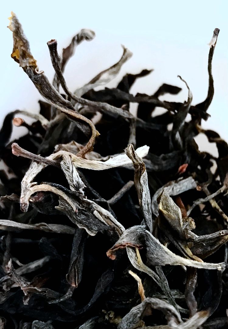 勐库茶行 小户赛普洱茶 散茶生茶 古树茶 赛冰岛 醇香30克试饮装