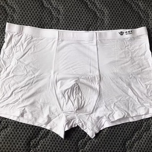 威德龙盒装白色内裤莫代尔竹碳四角裤头男士纯白内裤平角内裤3333