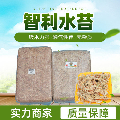 百宝园艺毛毛虫干水苔买就送玉肥