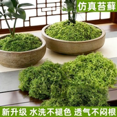 仿真苔藓草皮仿生人造假青苔微景观布置摆件草坪盆景盆栽铺面造景