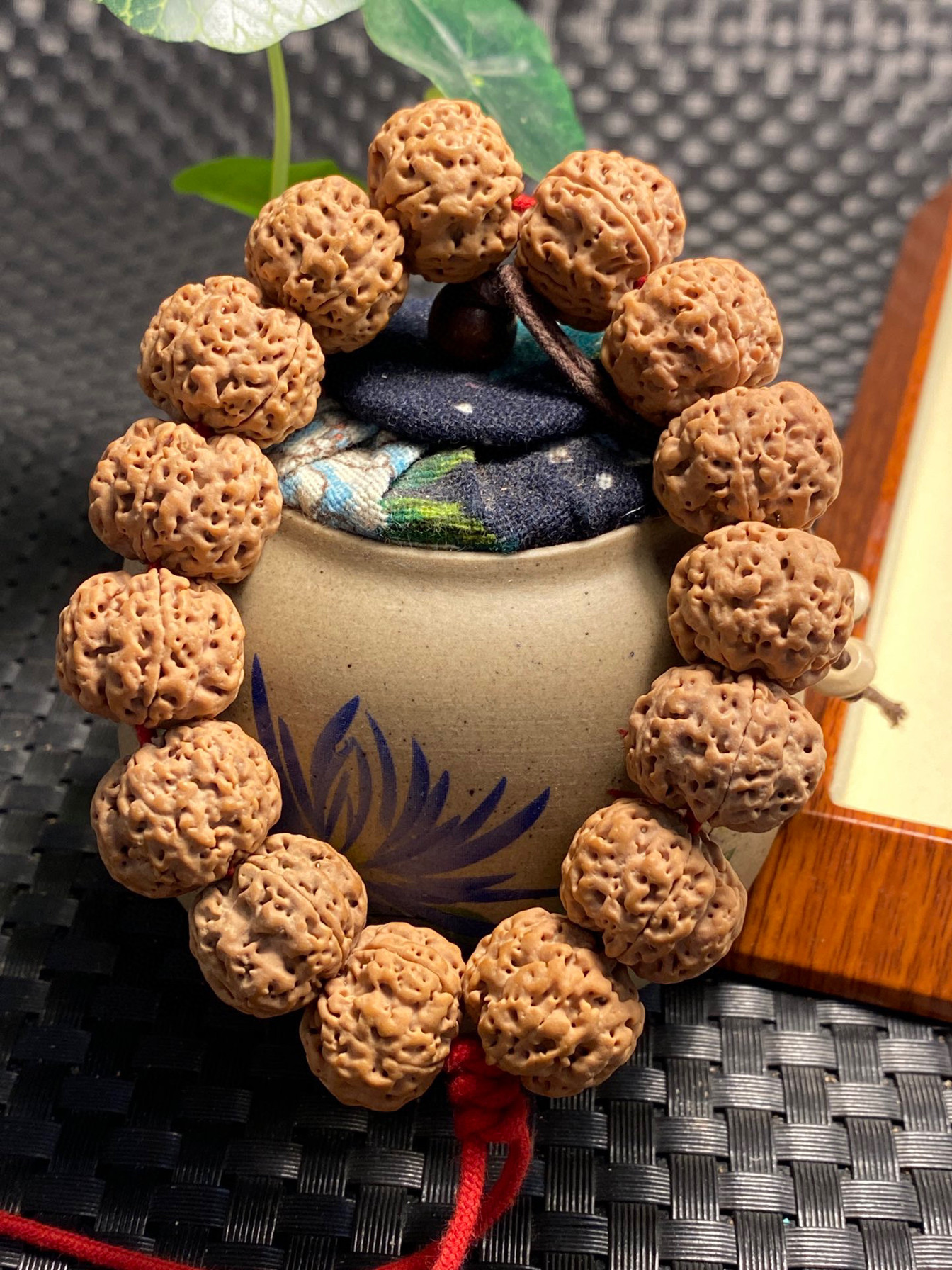 原生态尼泊尔大金刚菩提手串矮桩蜂窝双龙梅花桩 满肉 沉水籽 5瓣