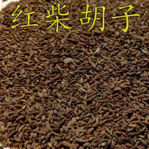 新红柴胡种子黑柴胡种子北柴胡种子甘肃柴胡种子狭叶柴胡包邮