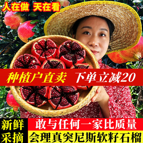 官方推荐|会理突尼斯软籽石榴