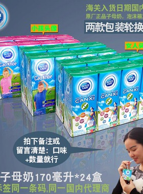 荷兰DUTCH LADY子母奶170ml*24盒原装越南进口饮品原味草莓小孩头