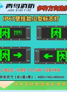 北大青鸟 应急灯 疏散指示 标志灯 IP67壁挂款 智能 小型标志灯量