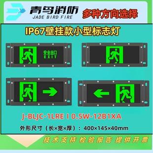 北大青鸟 应急灯 疏散指示 标志灯 IP67壁挂款 智能 小型标志灯量